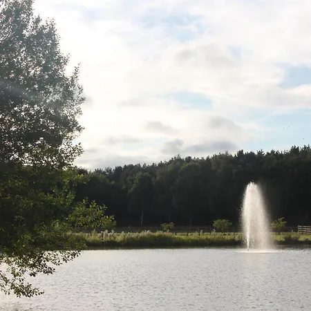 Luxury Shepherds Hut - The Foxglove By The *