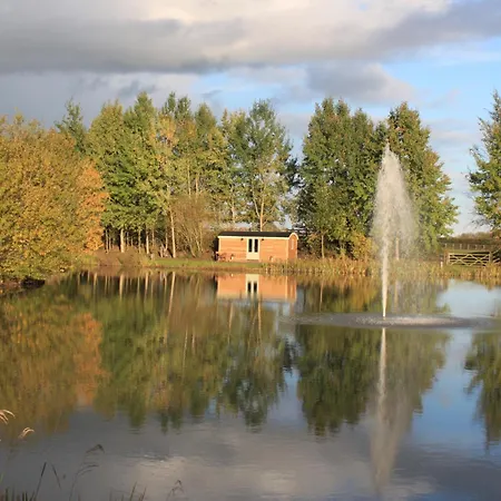 مكان تخييم Luxury Shepherds Hut - The Foxglove By The *